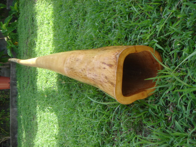 DSC01280.JPG