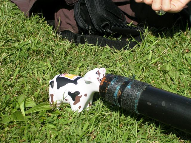 heureusement que ma vache était là pour ramener tout le monde!! Poueeeet
