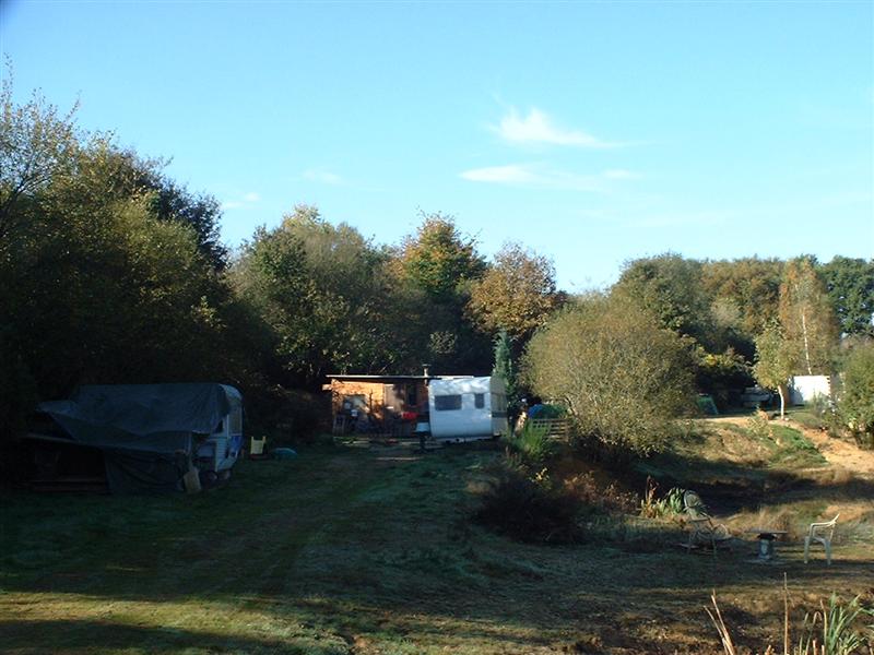 00000037 (Medium).JPG