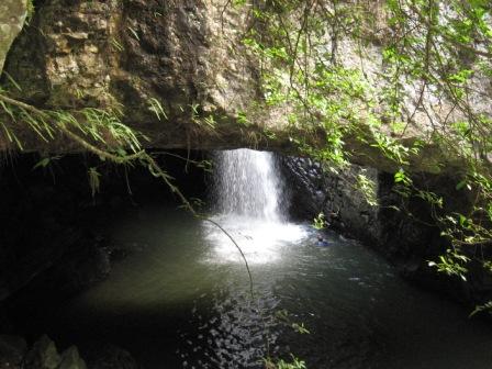 dans une forêt tropical du Lamington national park, une grotte avec une cascade qui y plonge...l'eau y était bonne mais j'ai eu le malhuer de faire le malin et de foutre ma tête sous la cascade...hum...ça donne l'impression de faire marcher sur le crâne p
