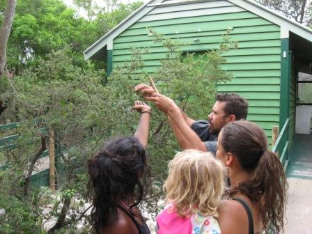 Marcus, un aborigène des  Nadtjala qui nous montre quelles plantes sont utilisable pour se soigner, se nettoyer, manger et chasser.