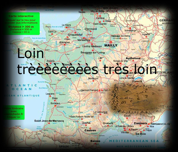 loinnnnn.jpg