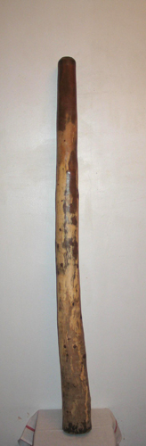 Ré - Didjaman.jpg