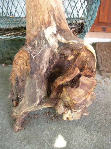DSCN1952.JPG