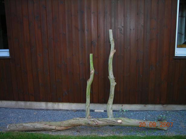 DSCN0249.JPG