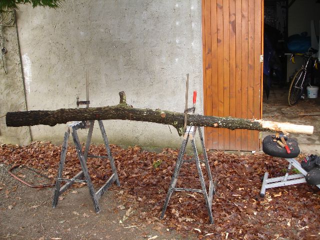 DSC02858.JPG