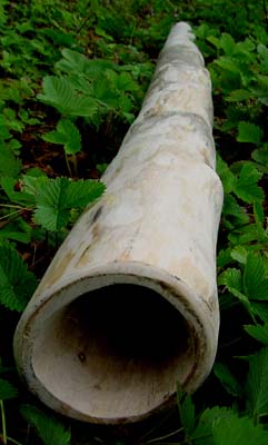 Bois floté 1.jpg