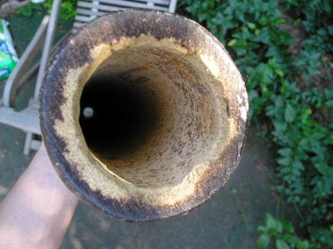 cloche.JPG