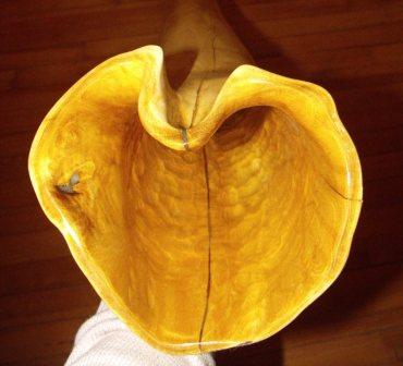 robinier_cloche.jpg