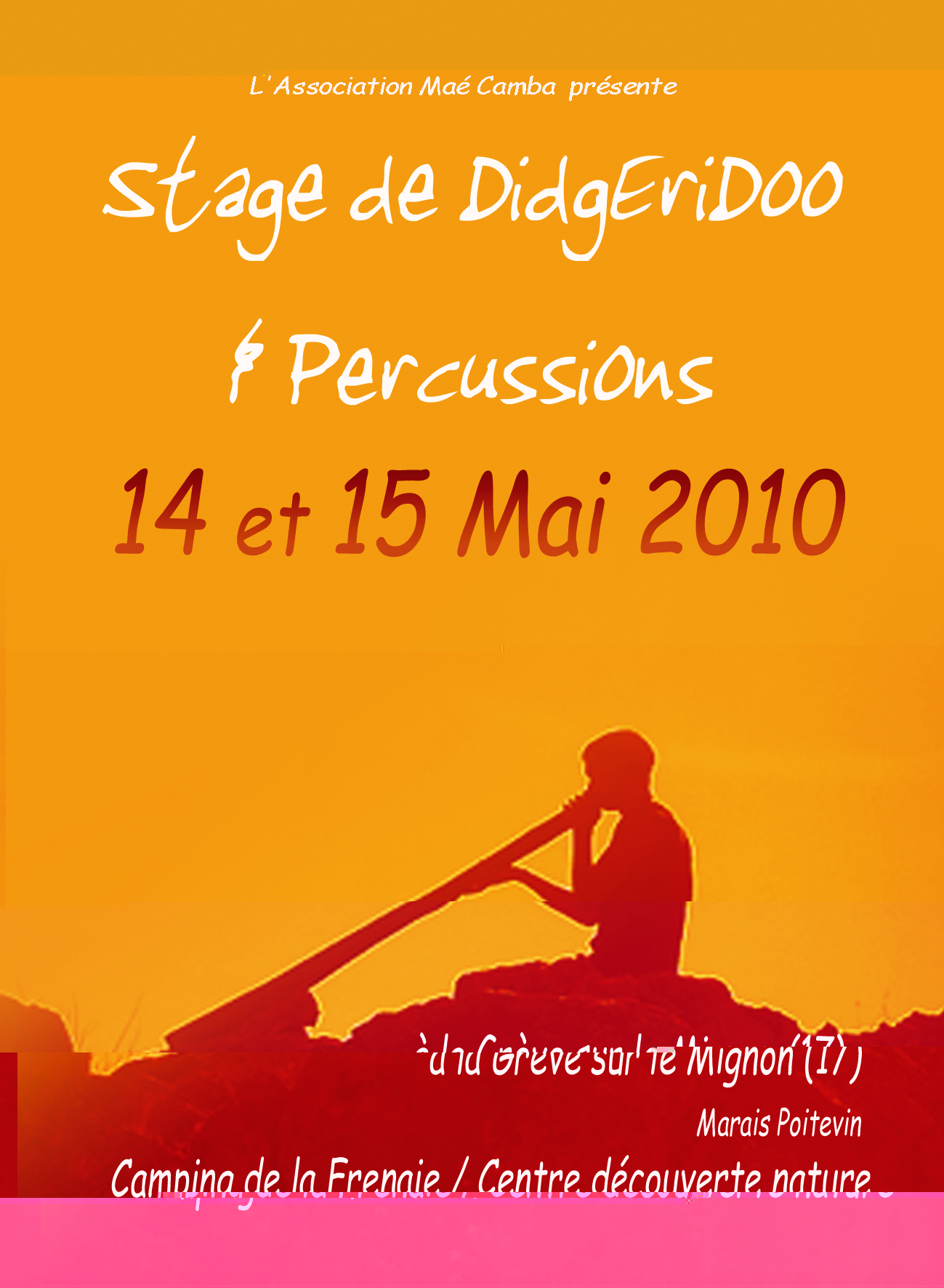 fly-stage-didj-2010-web.jpg