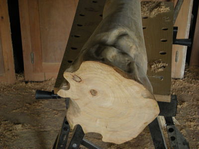 DSCN3340_opt.jpg