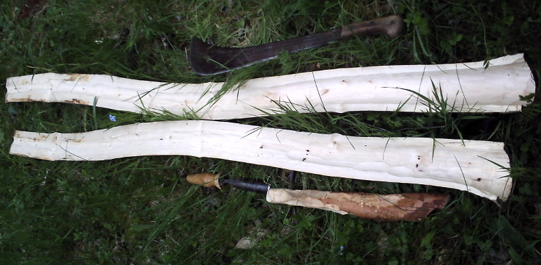 PICT0032.JPG