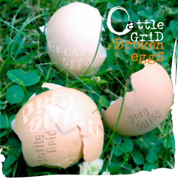 BrokenEggs.jpg