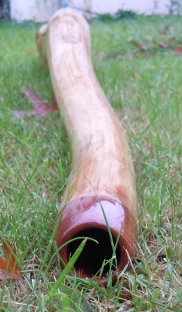 DSCN0758.JPG