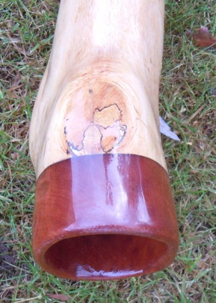 DSCN0767.JPG