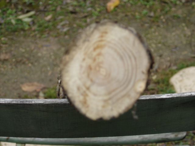 détail du cœur mais photo floue...