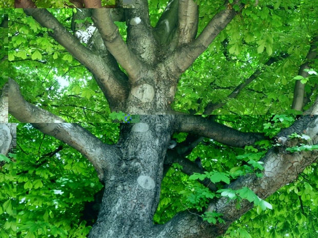 DSCN8354R.jpg