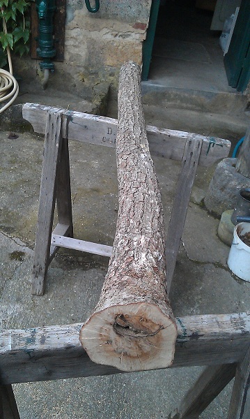 IMAG0514s.jpg