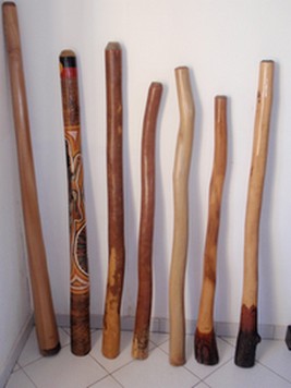 foret 001.JPG