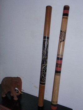 bambou 001.JPG