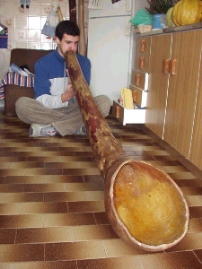 exodon[1].jpg