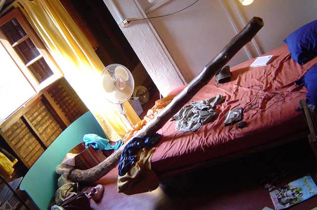 choka...sur un lit de 1,90m.JPG