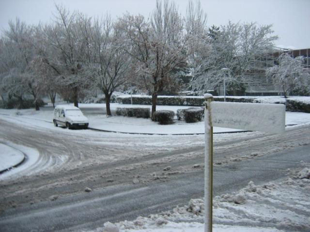 IMG_3867.jpg