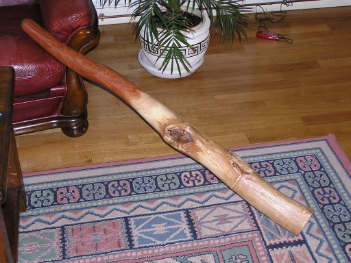 Didgeridoo eucalyptus fait par Didjaman (France)