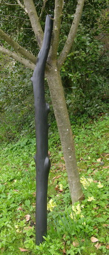 Saule noir 500.jpg