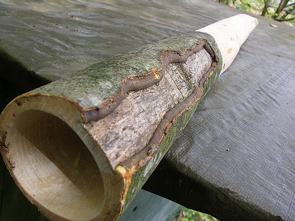 Eärendil 5.600.jpg