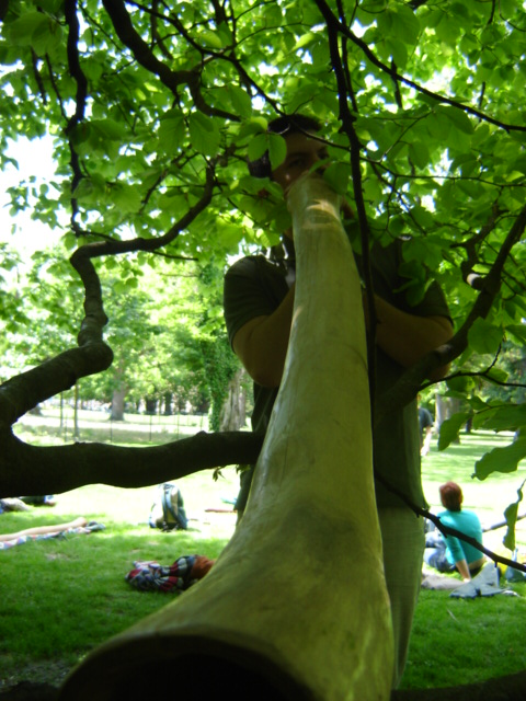 erwan se prend pr un arbre.JPG