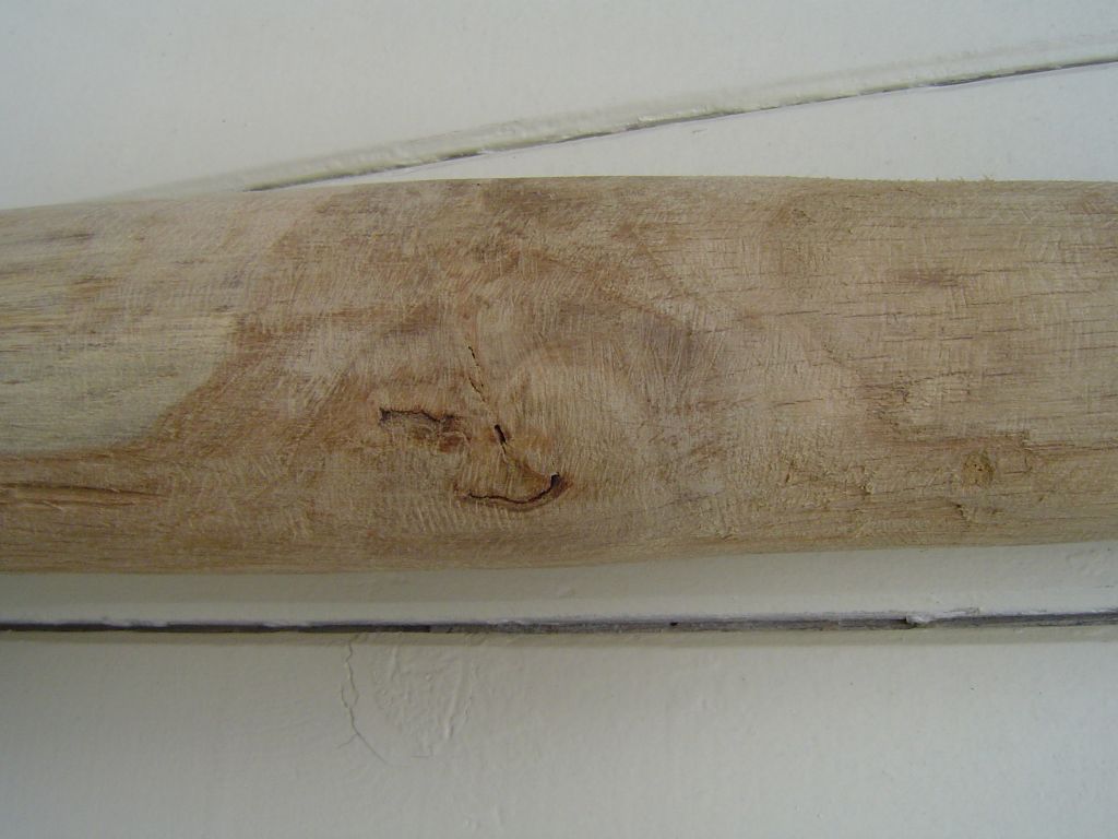 DSC02710.JPG