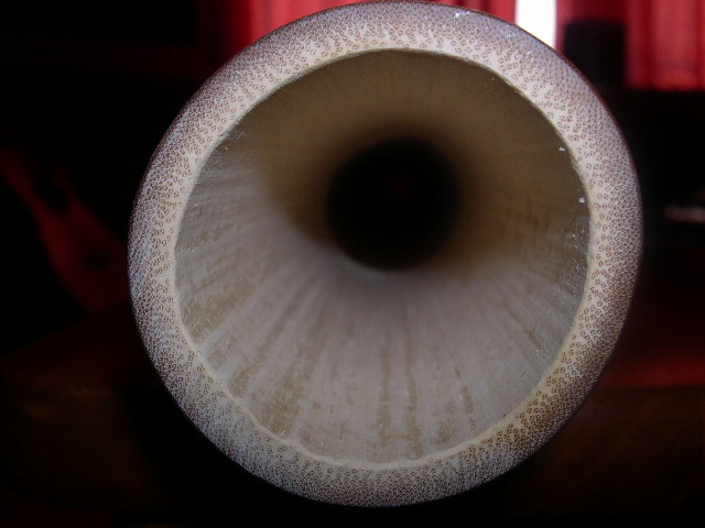 DSCN0717.JPG
