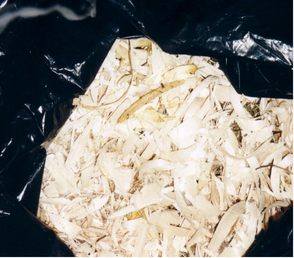 copeaux.jpg