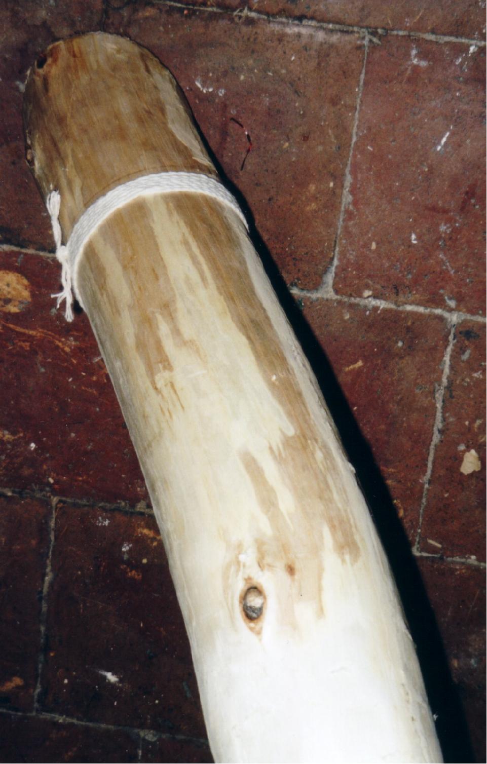 didge elsa 2.jpg