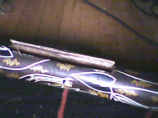 trappe euca 2.jpg