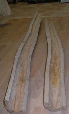 2 branches.JPG