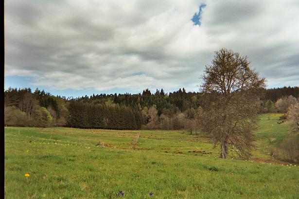 le champs de l'autre coté de la maison