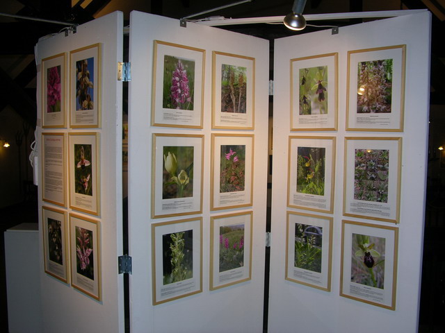 Exposition Orchidées sauvages.jpg