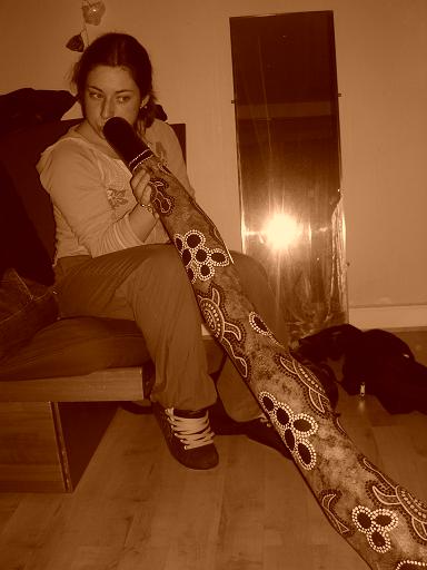 Luciole sur le turtle.