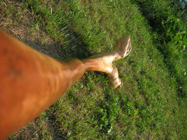 d'en haut.JPG