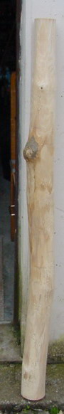 DSC00204.jpg