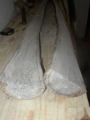 Le voici couper en deux