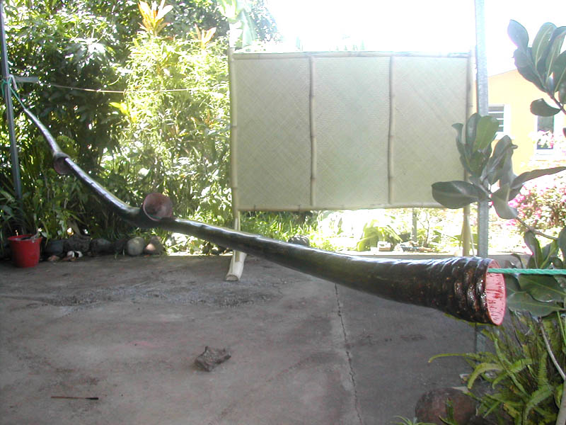 et une belle brochette , une !!!