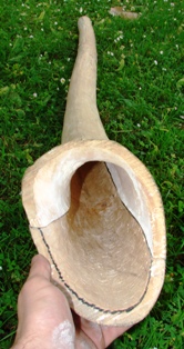 la grosse bell