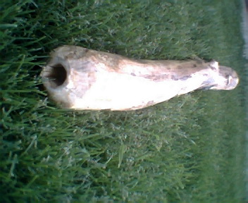 didgeridoo8003.jpg