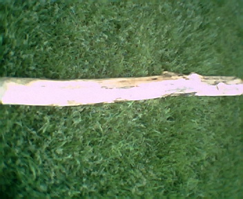 didgeridoo8002.jpg