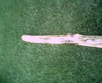 didgeridoo8001.jpg