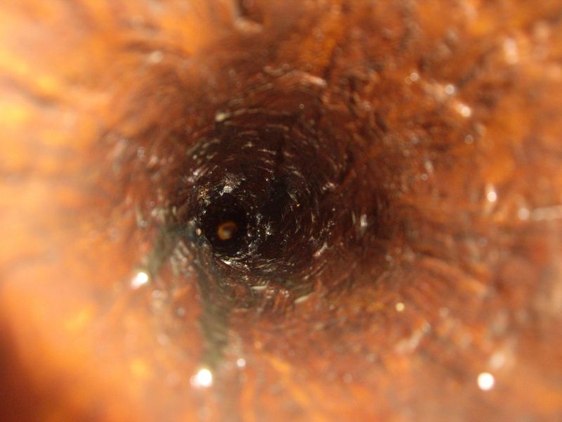 IMGP1046 [640x480].JPG