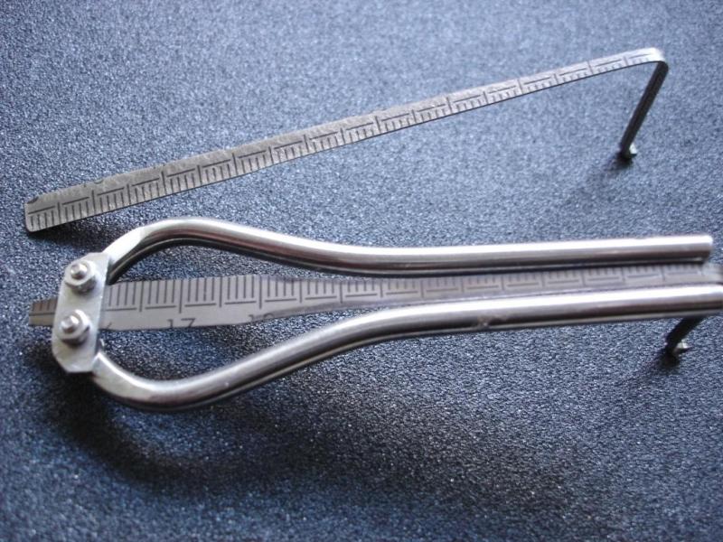 Guimbarde inox polie cintrée D4mm, languette : reglet